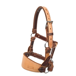 Leather Bronc Halter